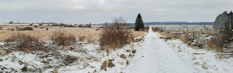 Gravel - Botrange - Haute Fagnes